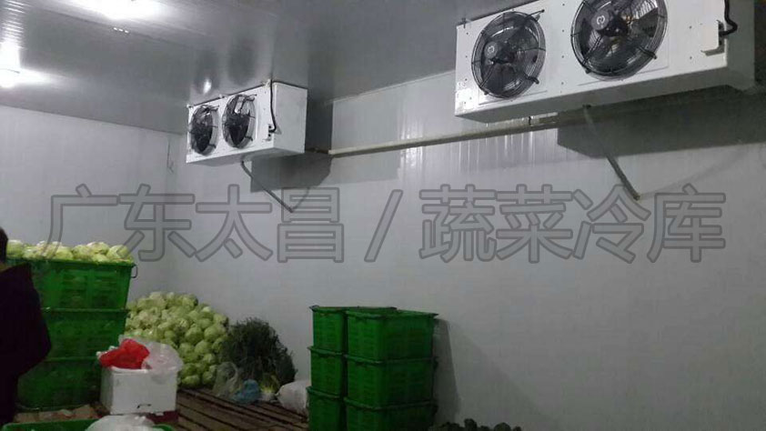 建造保鮮冷庫(kù)需要了解哪些方面？保鮮冷庫(kù)設(shè)計(jì)方案有哪些？
