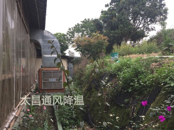 餐廳太熱？環(huán)?？照{(diào)為你送清風(fēng)