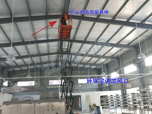 食品廠扇機(jī)互補降溫案例